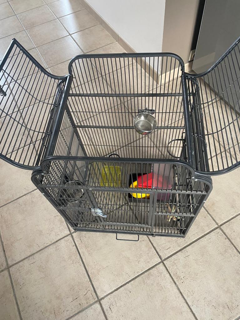 Cage pour oiseaux, Animaux & Accessoires, Maisons pour chiens, Enlèvement, Comme neuf