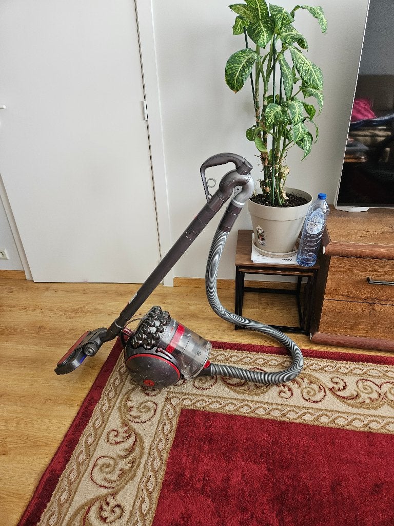 Dyson Cinetic Big Ball AnimalPro 2, Electroménager, Aspirateurs, Réservoir, Aspirateur traîneau, Enlèvement, Dyson