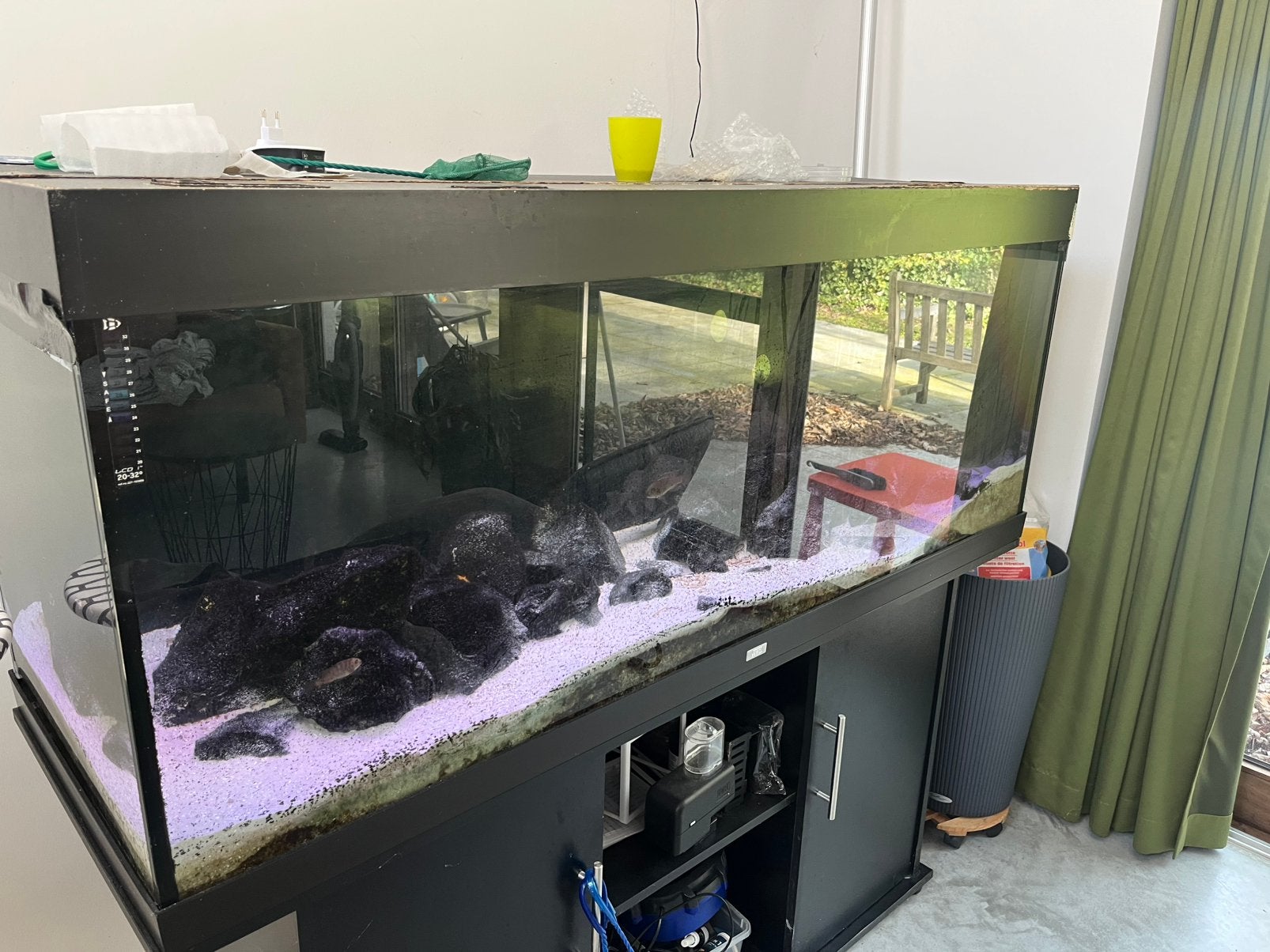 Juwel Rio 400 met Helialux Spectrum & SmartControl, Animaux & Accessoires, Poissons | Aquariums & Accessoires, Utilisé, Aquarium d'eau douce rempli