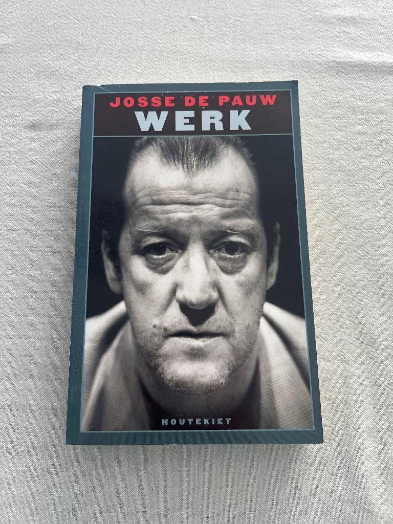 Werk – Josse De Pauw, Enlèvement ou Envoi, Josse De Pauw, Belgique, Utilisé