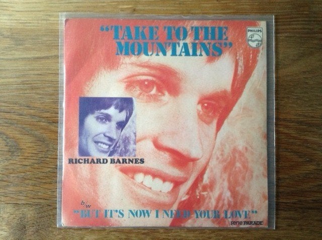 single richard barnes, Cd's en Dvd's, 7 inch, Ophalen of Verzenden, Pop, Beschermende buitenhoes