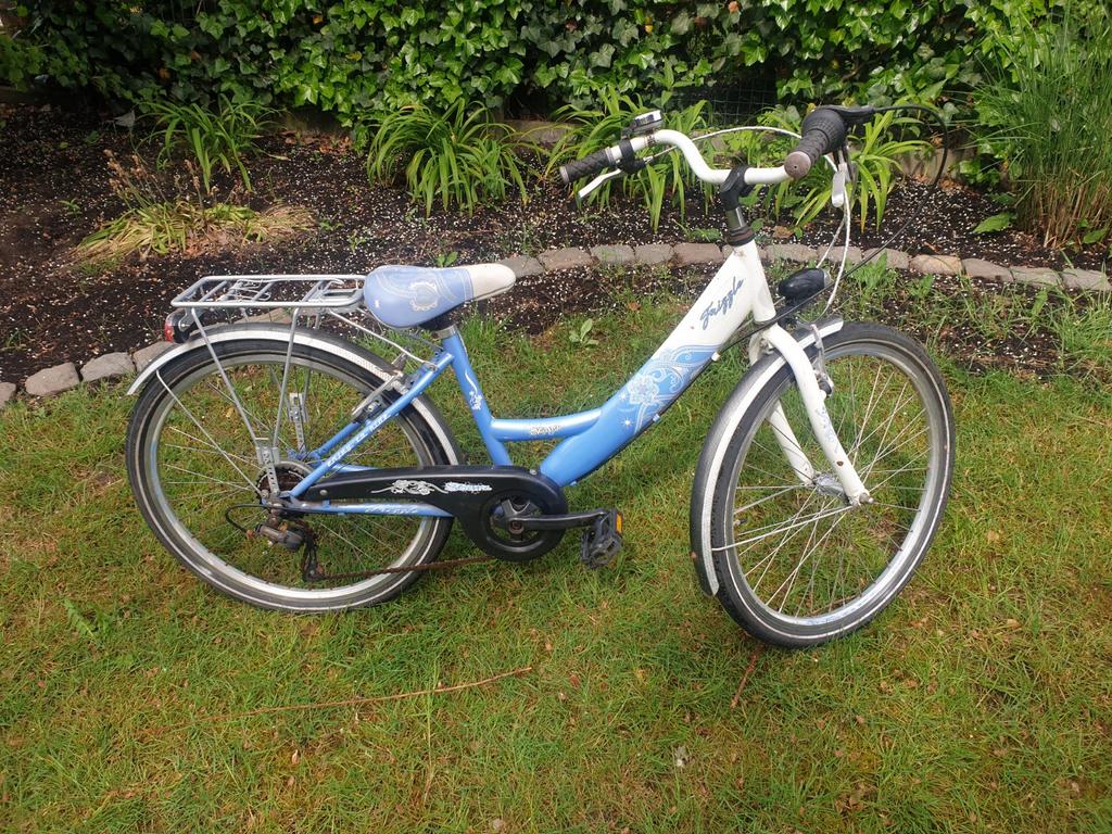 Freggili meisjes fiets, Enlèvement