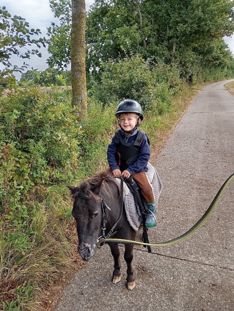 Shetland pony te koop, Dieren en Toebehoren, Ruin, Zadelmak, A pony (tot 1.17m), 3 tot 6 jaar