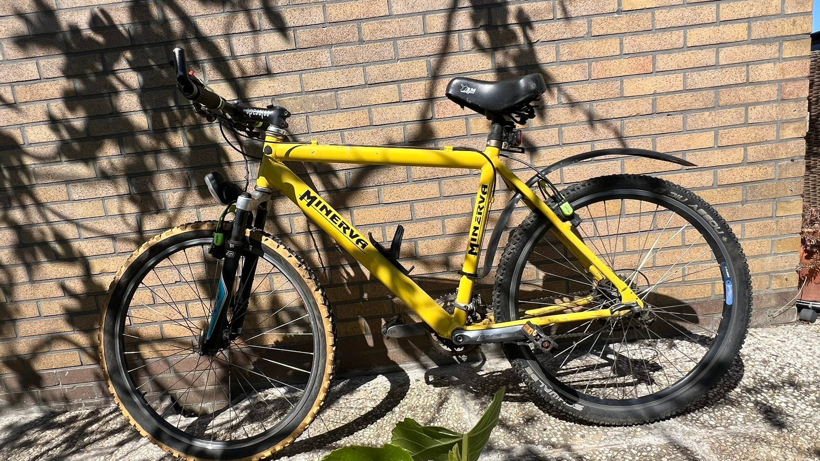 Minerva Mountainbike29”RockShoxVering Rijklaar geel Hardtail, Ophalen, Gebruikt, Overige merken, Vering