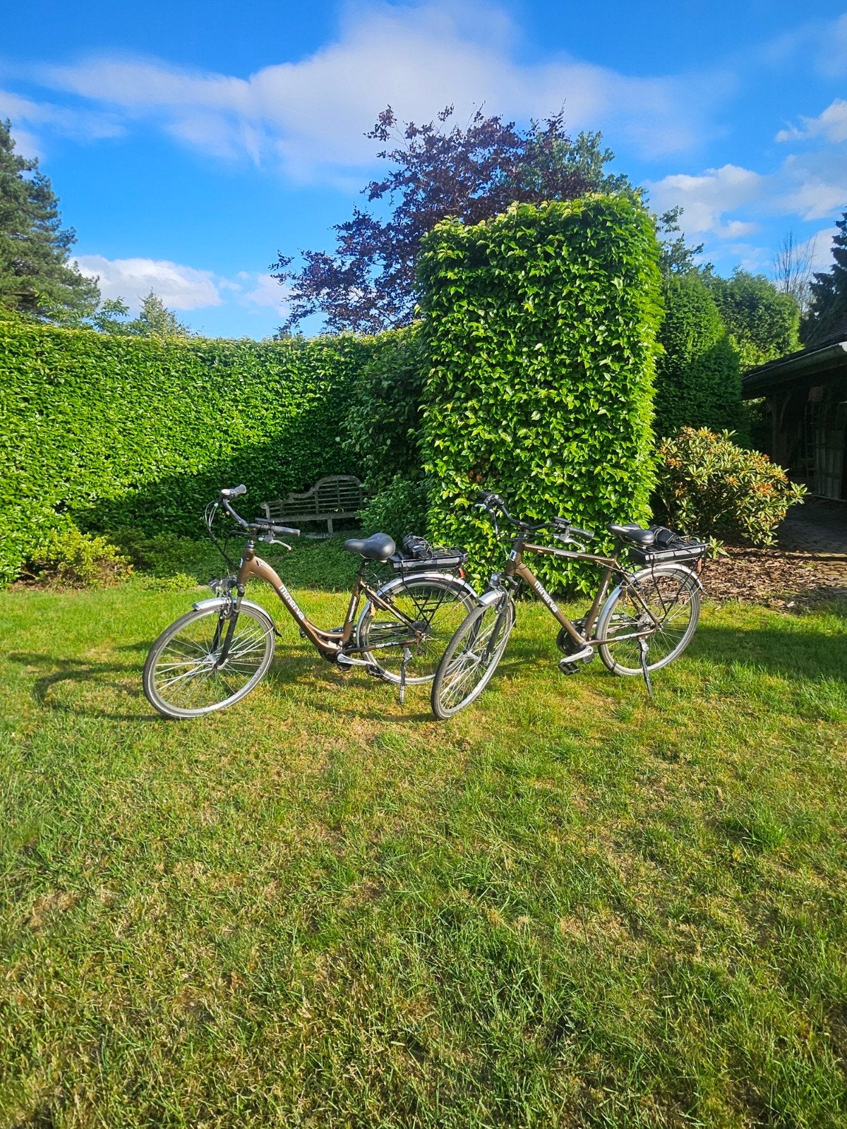 Fietsen elektrische dame heren  voor de twee, Ophalen