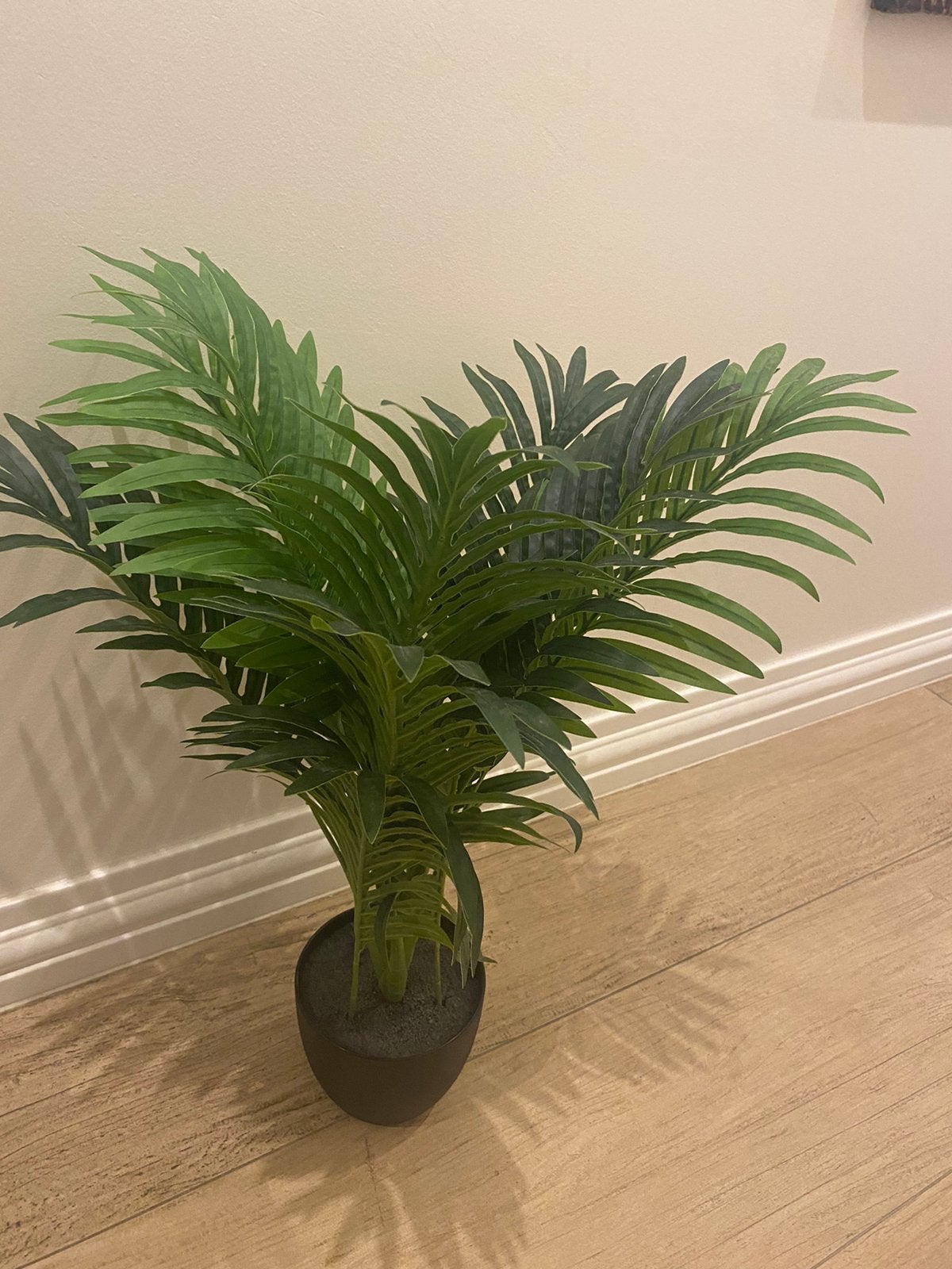NIEUW! Prachtige decoratieve kunstplant, Ophalen