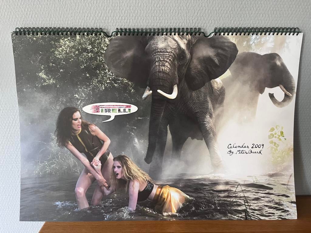 A vendre Calendrier Pirelli de 2009, Ophalen, Zo goed als nieuw