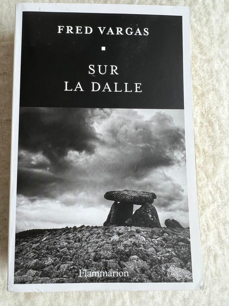 « Sur la dalle »  de Fred Vargas, Boeken, Zo goed als nieuw