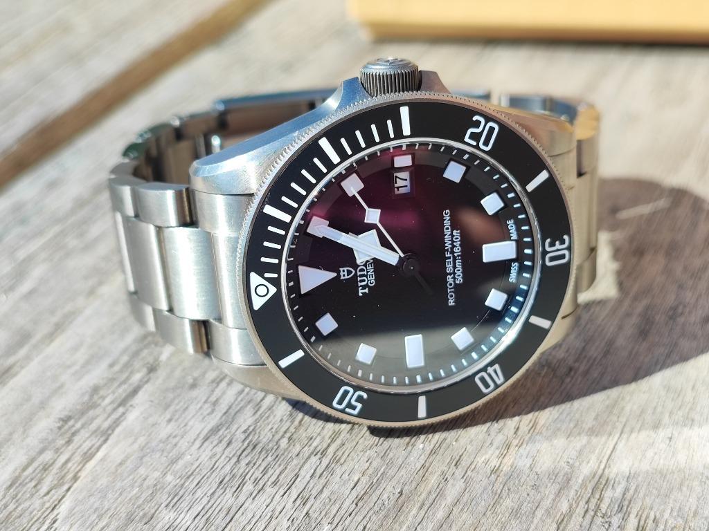 Tudor Pelagos 25500TN, Autres marques, Enlèvement, Acier, Acier