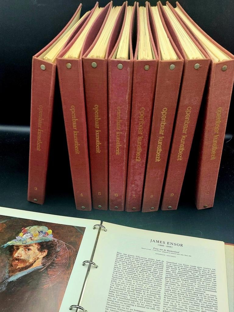 Mapjes "Openbaar Kunstbezit in Vlaanderen", Boeken, Ophalen