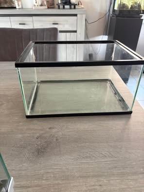 Te koop: glazen vis of schildpadden bak, Enlèvement, Comme neuf