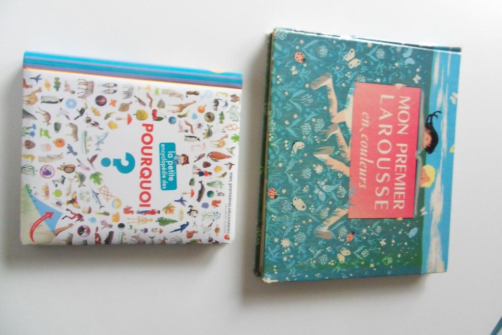 A vendre 2 encyclopédies pour enfant, Livres, Encyclopédies, Enlèvement ou Envoi, Comme neuf