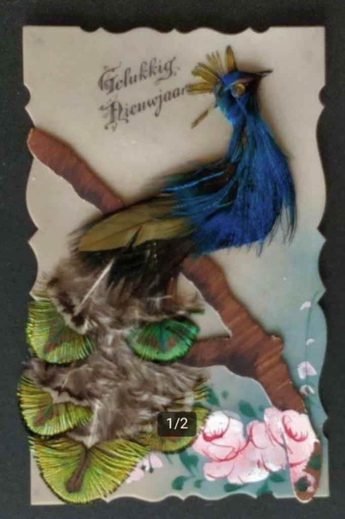 Gelukkig Nieuwjaar pauw peacock cellulose, Enlèvement ou Envoi, Affranchie, (Jour de) Fête