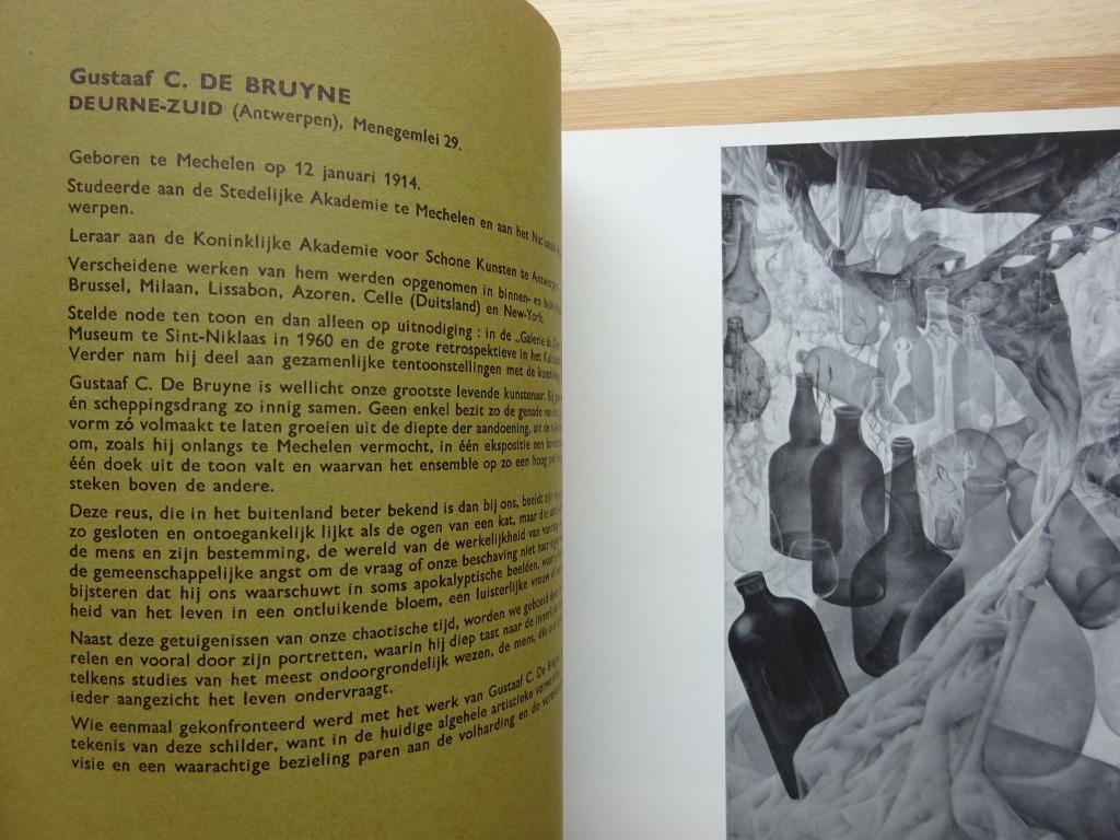 Vlaamse Kunstenaars Nu  - Merelbeke 1967 -, Boeken, Ophalen of Verzenden, Gelezen, Schilder- en Tekenkunst