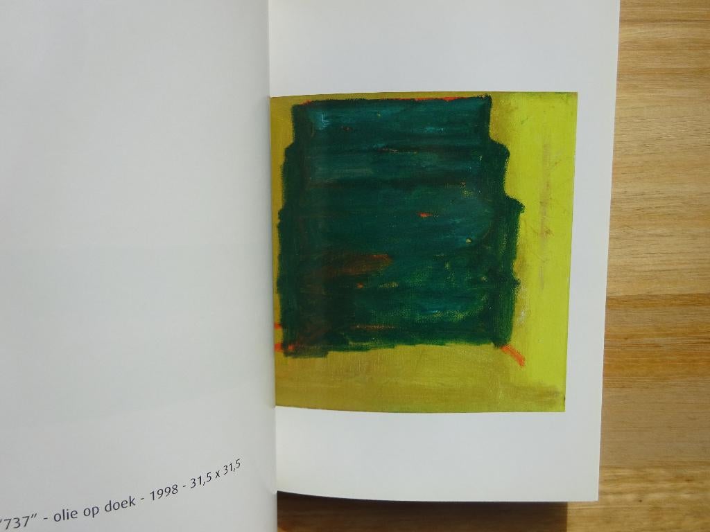 Raoul De Keyser, Mudel, Deinze, 2007- nieuw, Bernard Dewulf, Nieuw, Ophalen of Verzenden, Schilder- en Tekenkunst