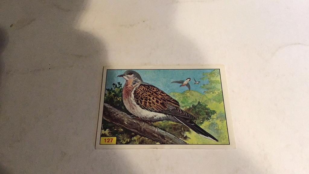 Oiseaux paniques (z8), Enlèvement ou Envoi, Comme neuf, Autocollant