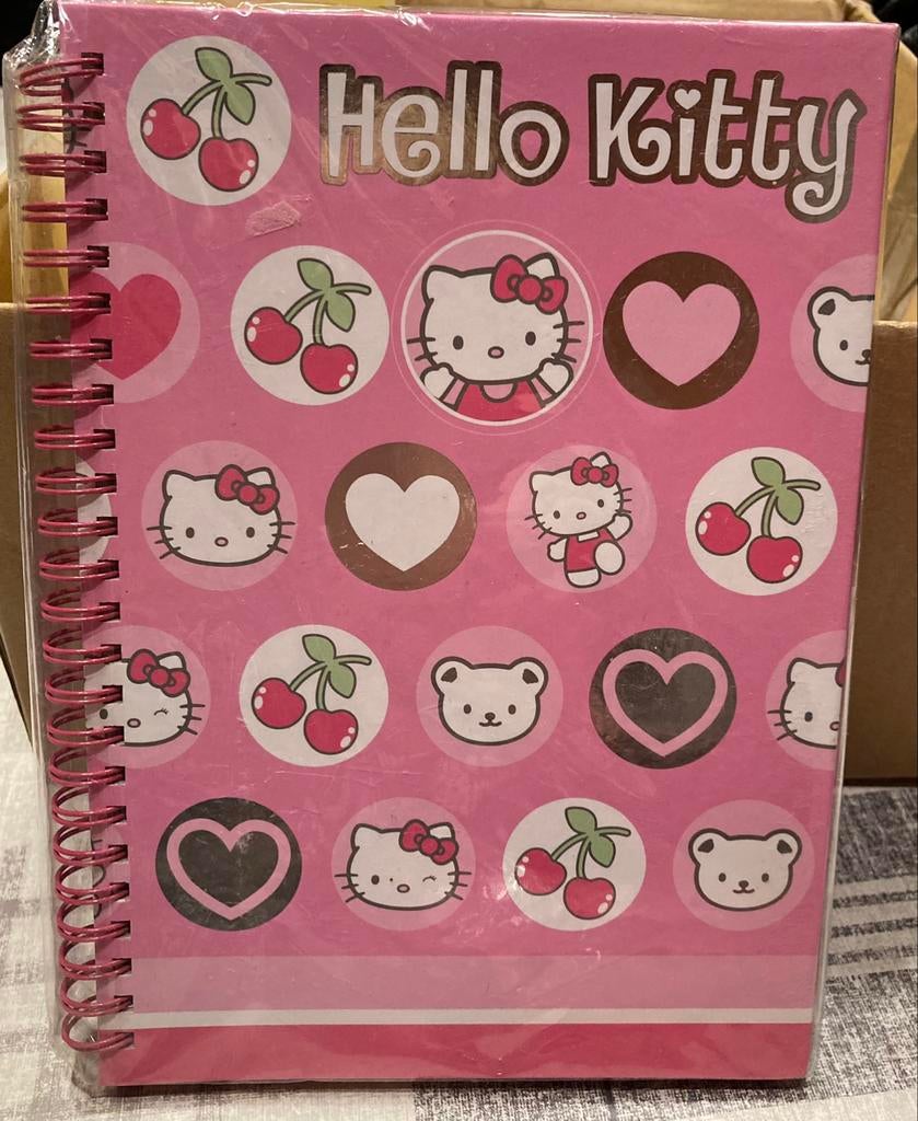 Hello Kitty schrijfboek met tekening in, Ophalen of Verzenden, Nieuw