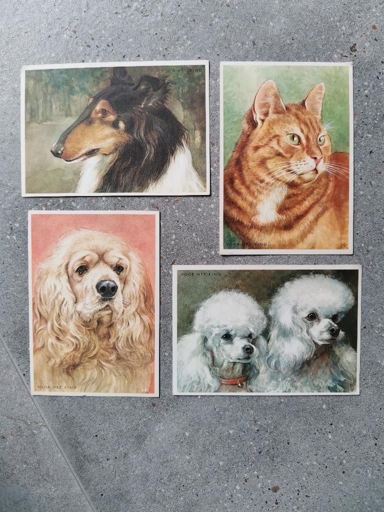 4 nouvelles cartes postales - dessins de chiens et de chats, Enlèvement ou Envoi, 1980 à nos jours, Non affranchie, Chien ou Chat