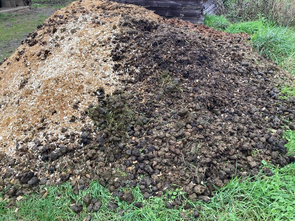 Fumier crottins de cheval à donner, Enlèvement, Fumier