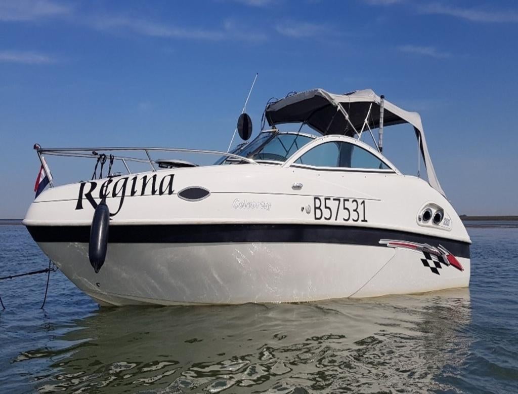 Bateau à moteur Celebrity 220 + remorque-garantie moteur, Yacht à moteur, Enlèvement, Utilisé, Sondeur
