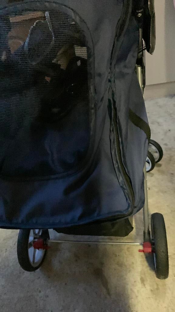 Hondenbuggy, Ophalen, Zo goed als nieuw