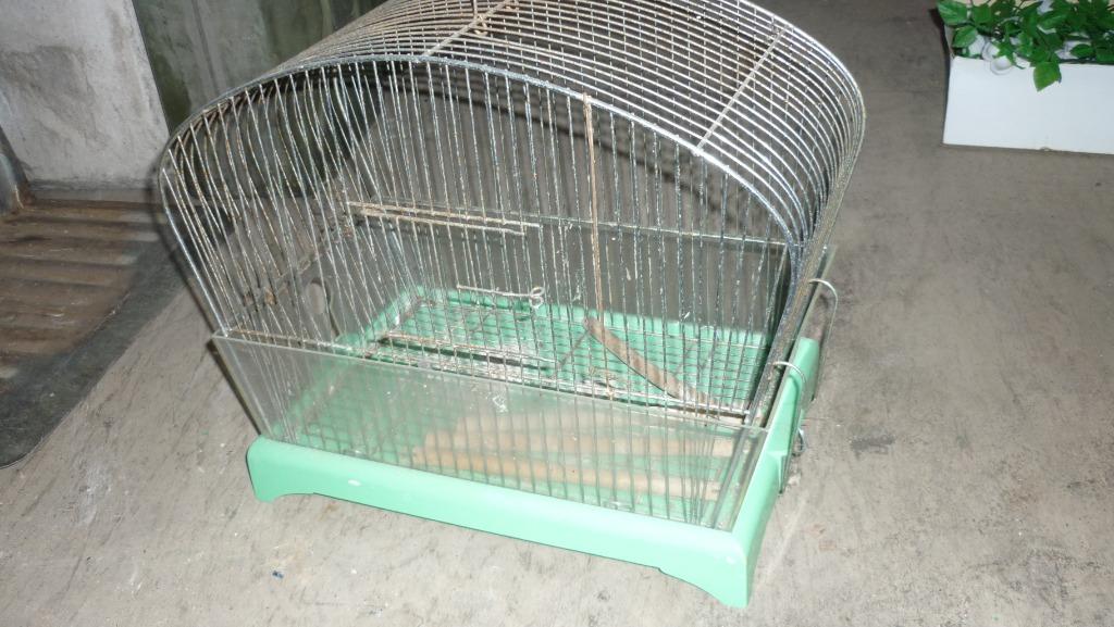 VOGELKOOI, Antiek en Kunst, Ophalen