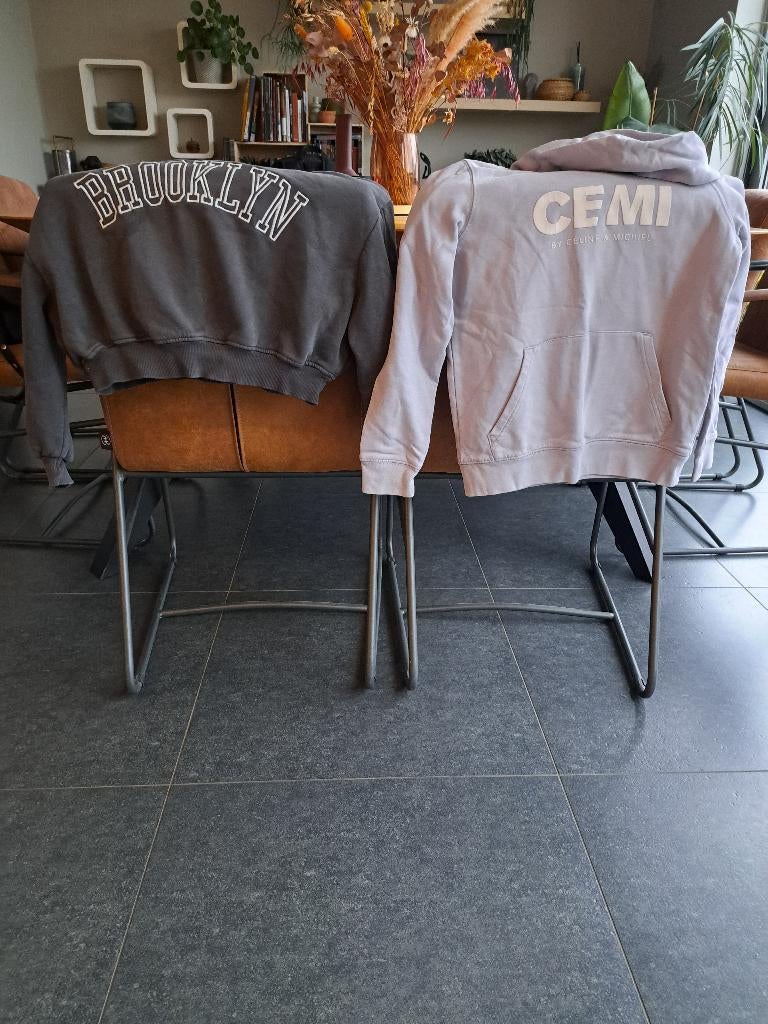 2 tuien   134 140 cemi, Ophalen of Verzenden, Zo goed als nieuw, Jongen of Meisje, Trui of Vest
