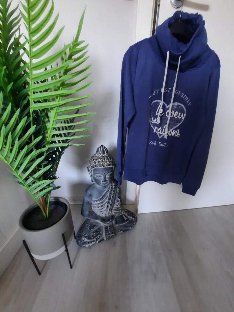 Pull à col roulé taille S, Vêtements | Femmes, Pulls & Gilets, Enlèvement ou Envoi, Comme neuf