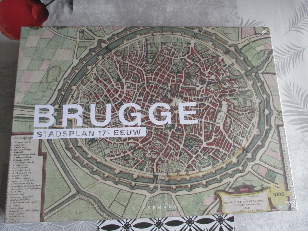 puzzel Brugge 1000, Ophalen, 500 t/m 1500 stukjes, Nieuw, Legpuzzel