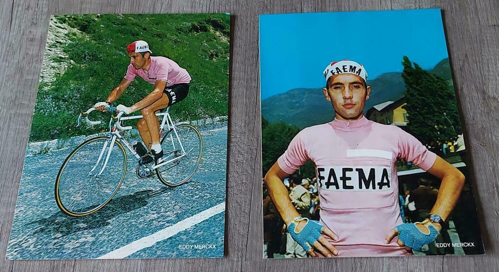 5 cartes postales Eddy Merckx faema pull rose et jaune, Enlèvement ou Envoi, Sports et Jeux