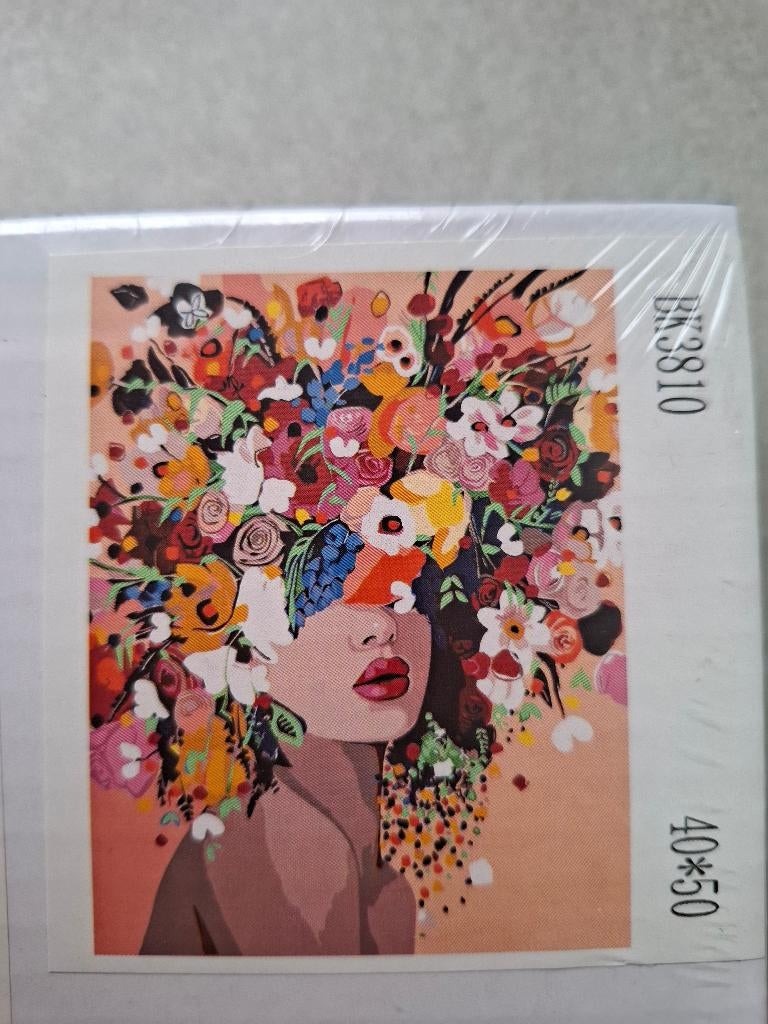 Nieuw Paint by Number Canvas, Hobby en Vrije tijd, Schilderen, Ophalen of Verzenden, Nieuw, Schilderen op nummer