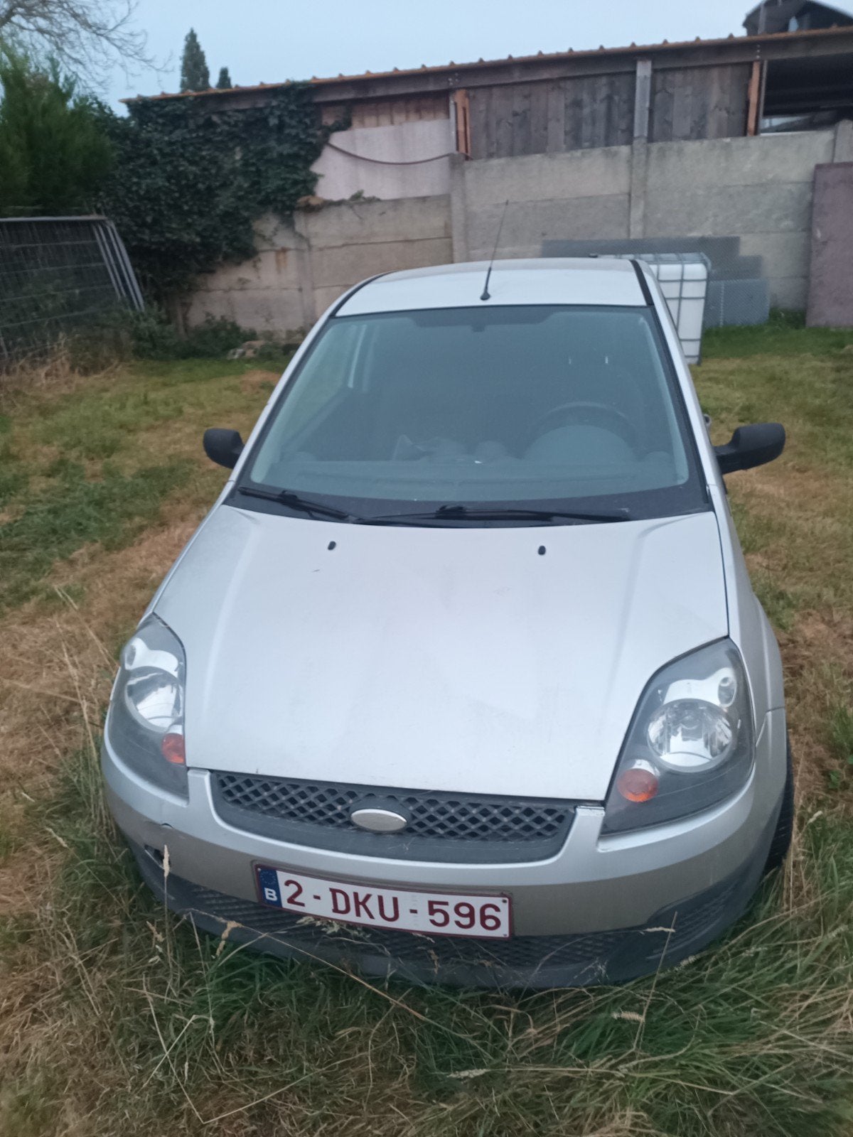 Ford Fiesta utilitaire léger, Autos, Argent ou Gris, Achat, 50 kW, Entreprise