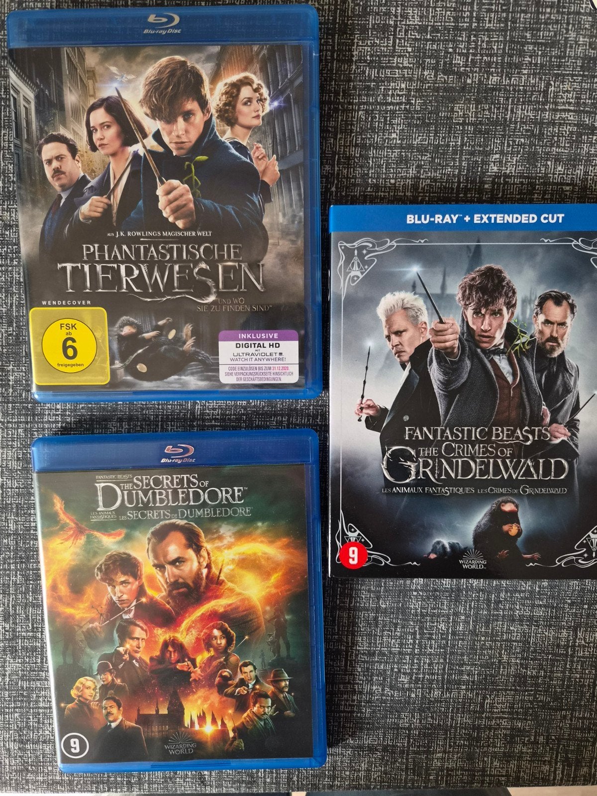 fantastic beasts, Cd's en Dvd's, Avontuur, Nederlands, Ophalen of Verzenden, Zo goed als nieuw