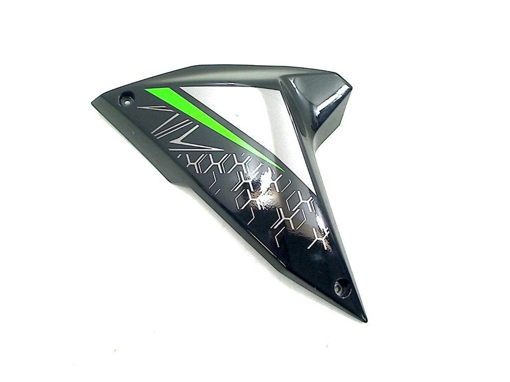VOORKAP Kawasaki Z H2 2020 (ZR1000KLF) (49134-0012), Dhr. S. di Majo, Gebruikt, Info@cama-motorparts.nl, P.J. Troelstraweg 8 8
3144 CX  MAASSLUIS, NL