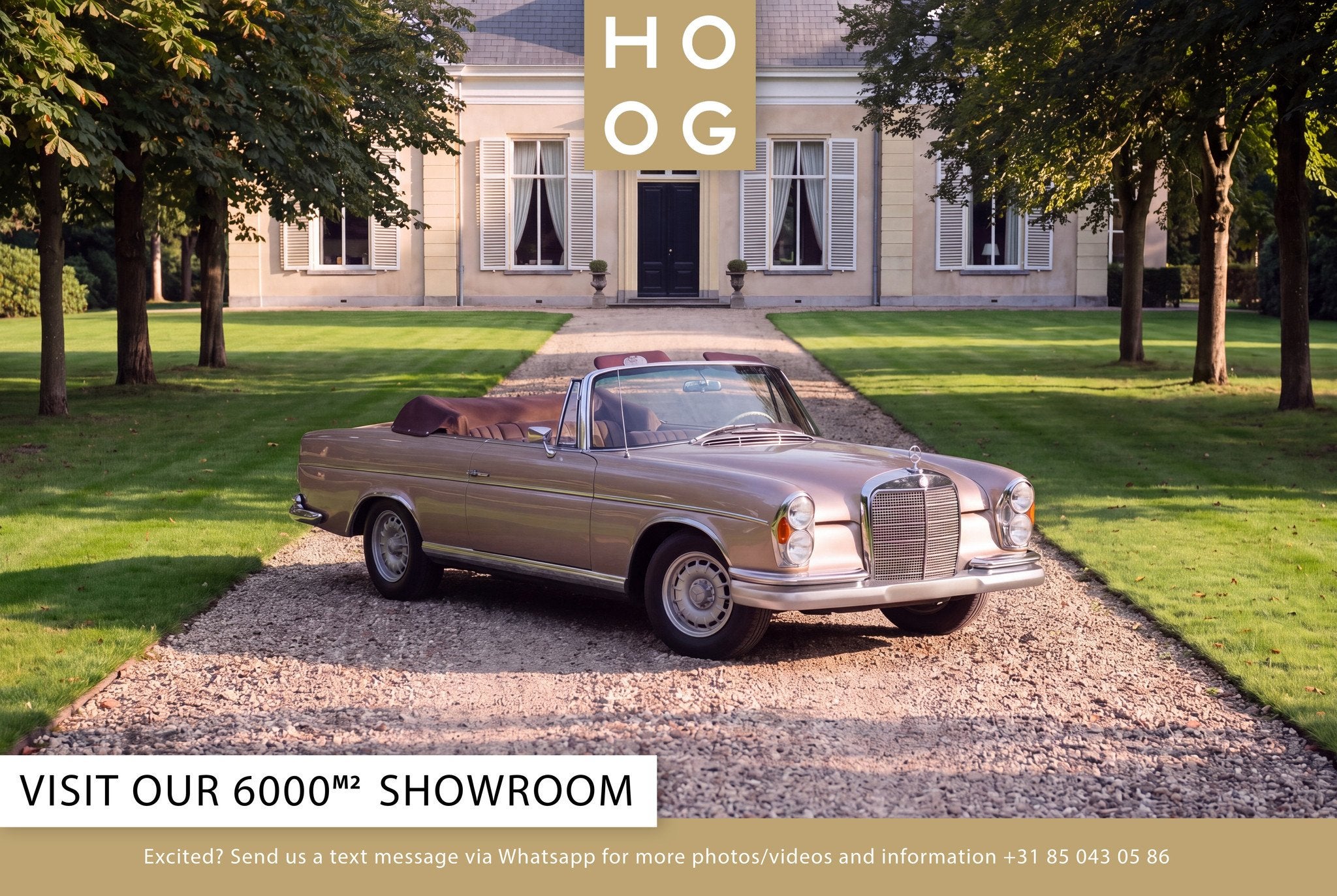 Mercedes-Benz S-Klasse 220 SE W111 Cabriolet, Autos, Achat, Entreprise, Cabriolet, 2 portes
