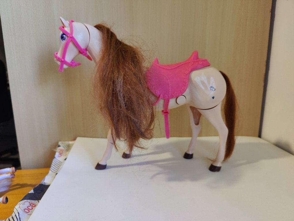 BARBY PAARD, Enlèvement ou Envoi
