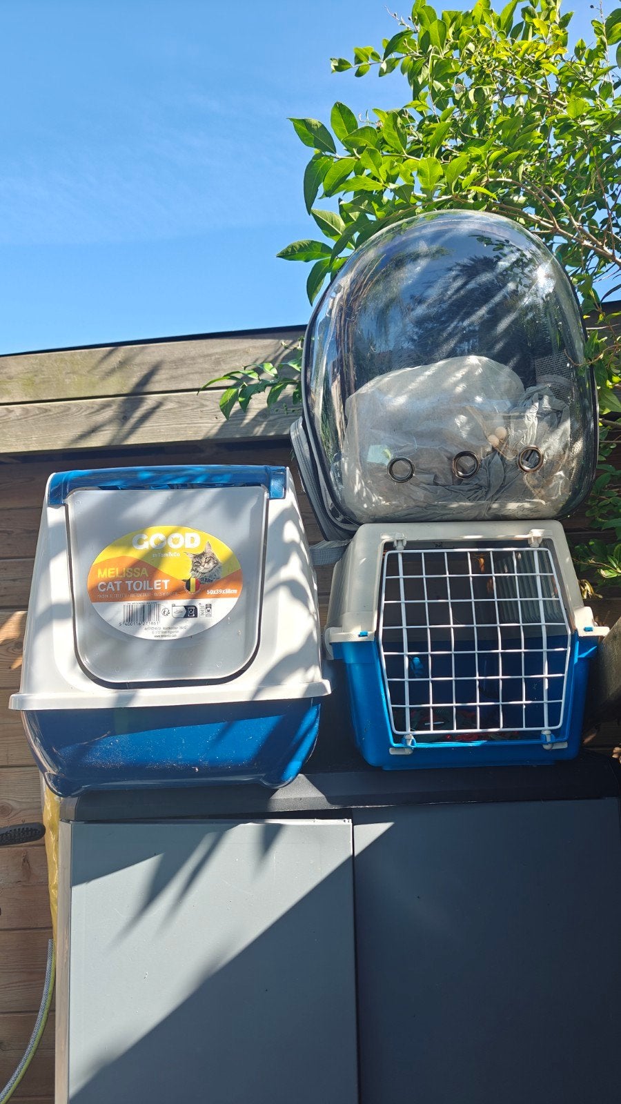 accessoires pour chat, Enlèvement ou Envoi