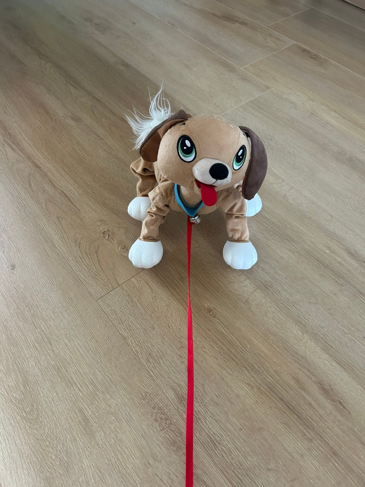 Hondje knuffel, Divers, Saint-Nicolas, Enlèvement, Comme neuf