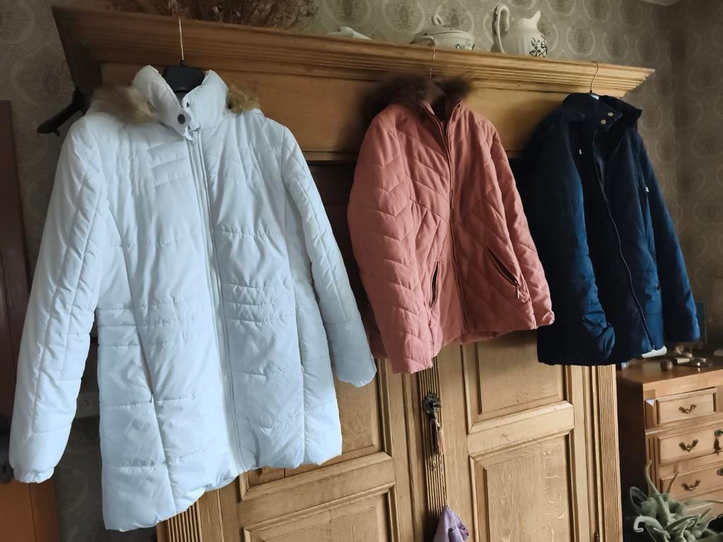 Vestes pour dames, Enlèvement