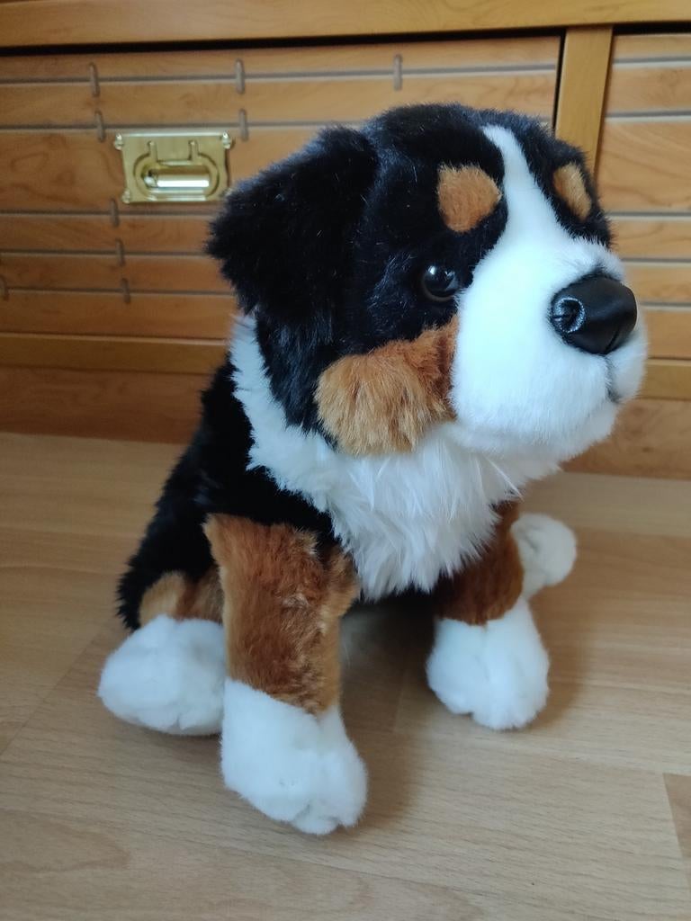 Carl Dick berner Sennen hond, Ophalen of Verzenden, Hond