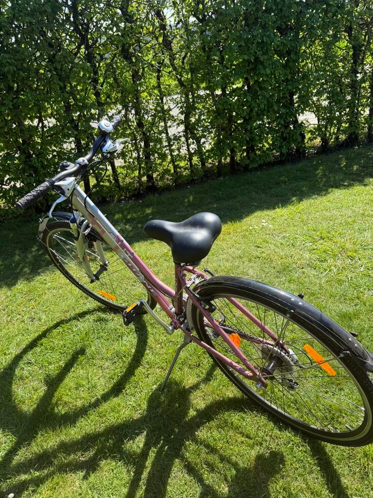 Vélo dame, Enlèvement, Neuf
