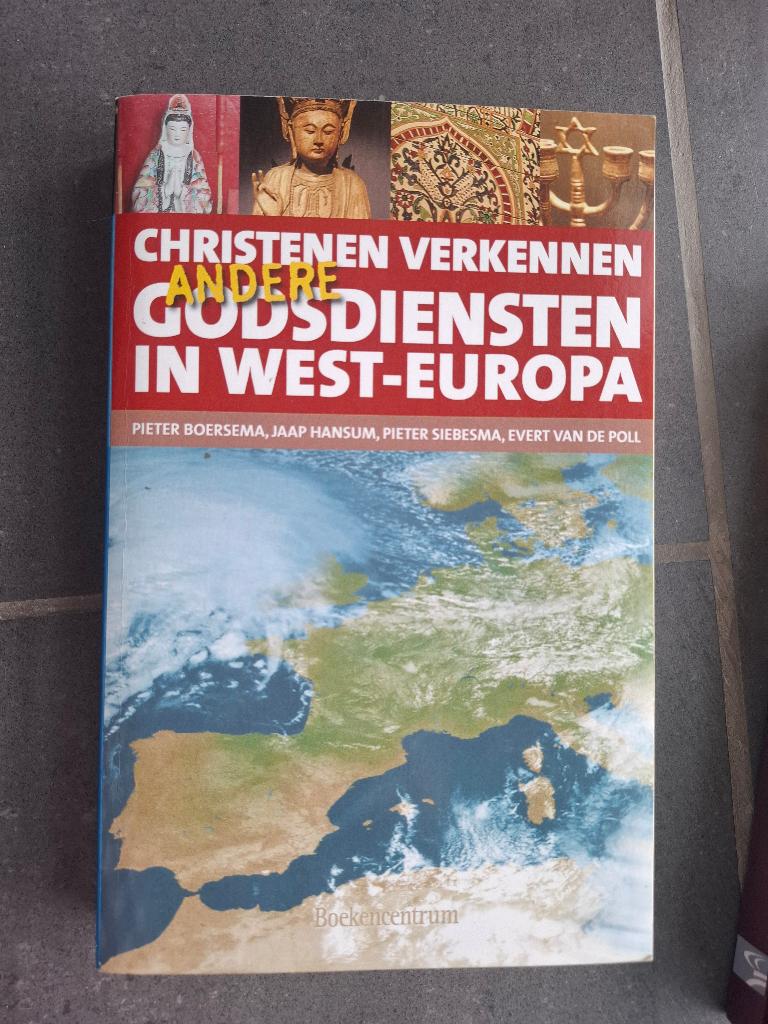 Boek Christenen verkennen andere godsdiensten in West-Europa, Livres, Religion & Théologie, Enlèvement ou Envoi, Utilisé, Christianisme | Catholique