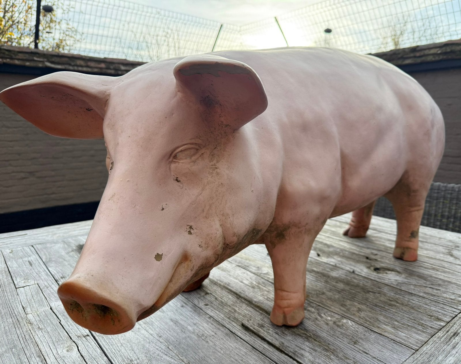 Mooi VARKEN, vermoedelijk beenhouwerij reclame  ?, Ophalen, Gebruikt, Overige typen