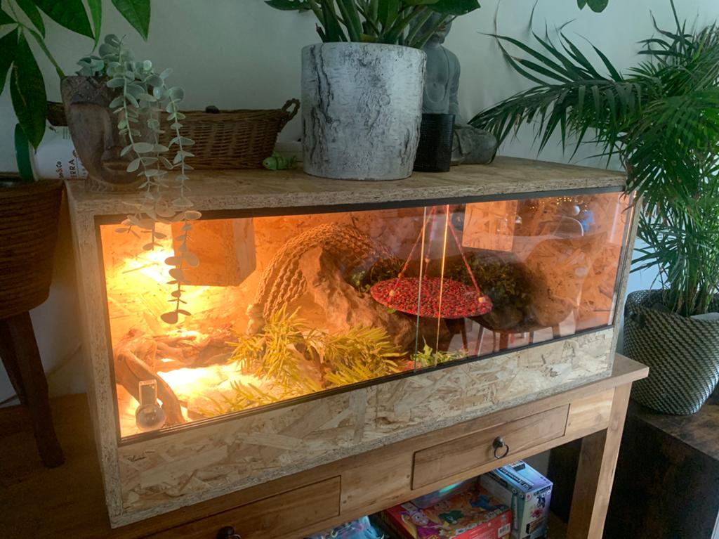 Terrarium 100 cm nieuw, Ophalen, Zo goed als nieuw