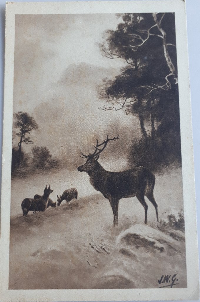 CP ancienne édition Beurre Méa; CERF +- 1910 Ref.E140, Collections, Enlèvement ou Envoi, Avant 1920, Non affranchie, Nature