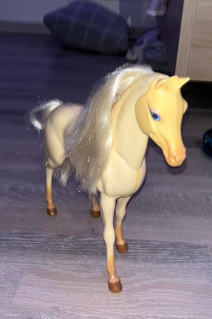 Barbie paard., Janvier, Femelle