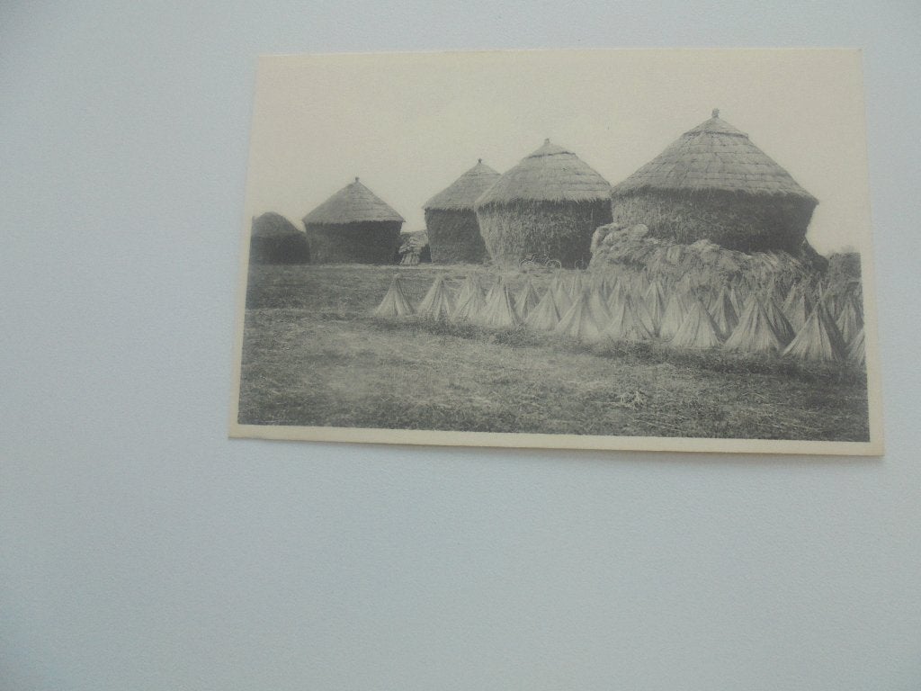 vlasteelt- het schelven na het drogen, Verzamelen, Postkaarten | België, Verzenden, 1920 tot 1940, Ongelopen, West-Vlaanderen