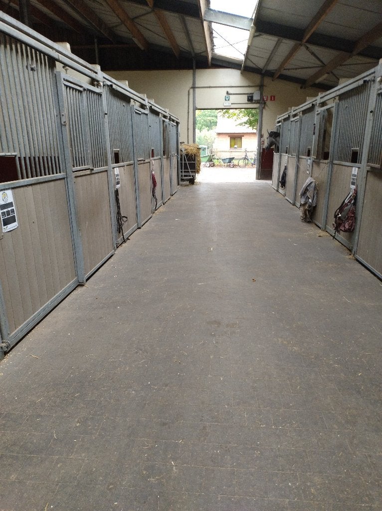 Paardenstalling ter beschikking, Dieren en Toebehoren, Weidegang
