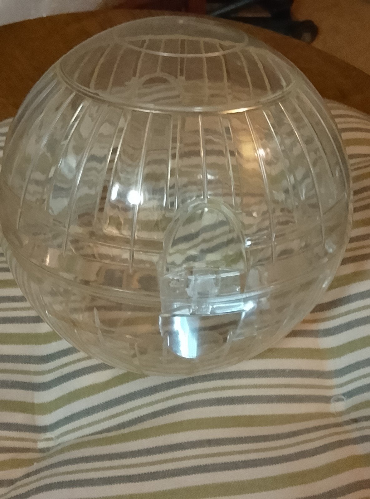Hamster loopbal, Animaux & Accessoires, Rongeurs & Lapins | Accessoires, Enlèvement
