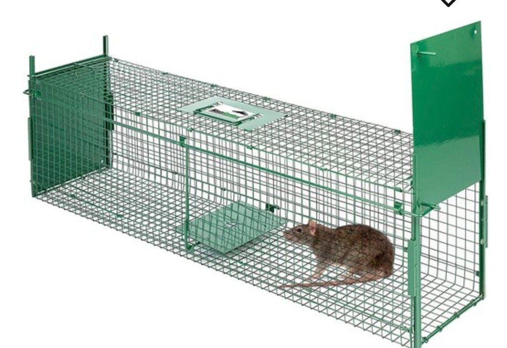 MaxxGarden Vang kooi voor dieren van 60x18x20cm -, Kooi, Minder dan 75 cm, Zo goed als nieuw, Fret